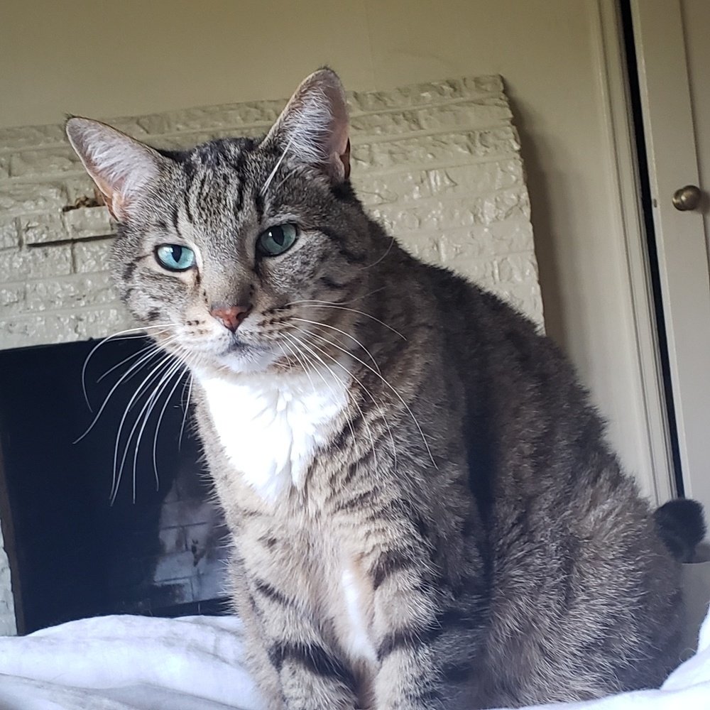 Meet your Posher, Morgan